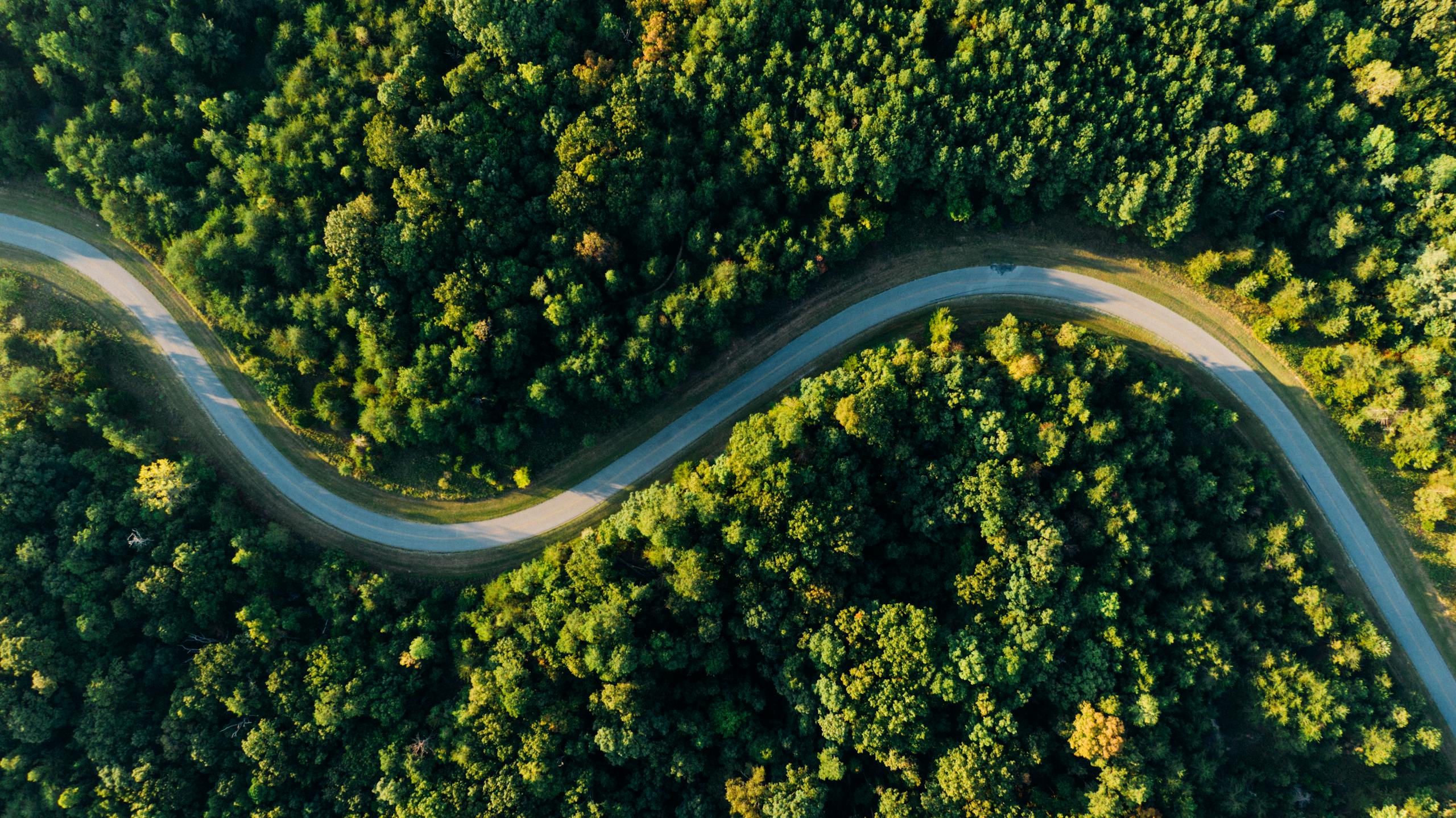 A winding road meanders through lush green forest from a high angle view.